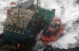 Hàn Quốc bắt 16 tàu Trung Quốc đánh cá trái phép 